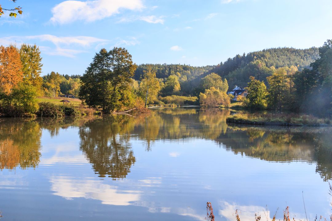 Dvorní rybník Dvorní rybník