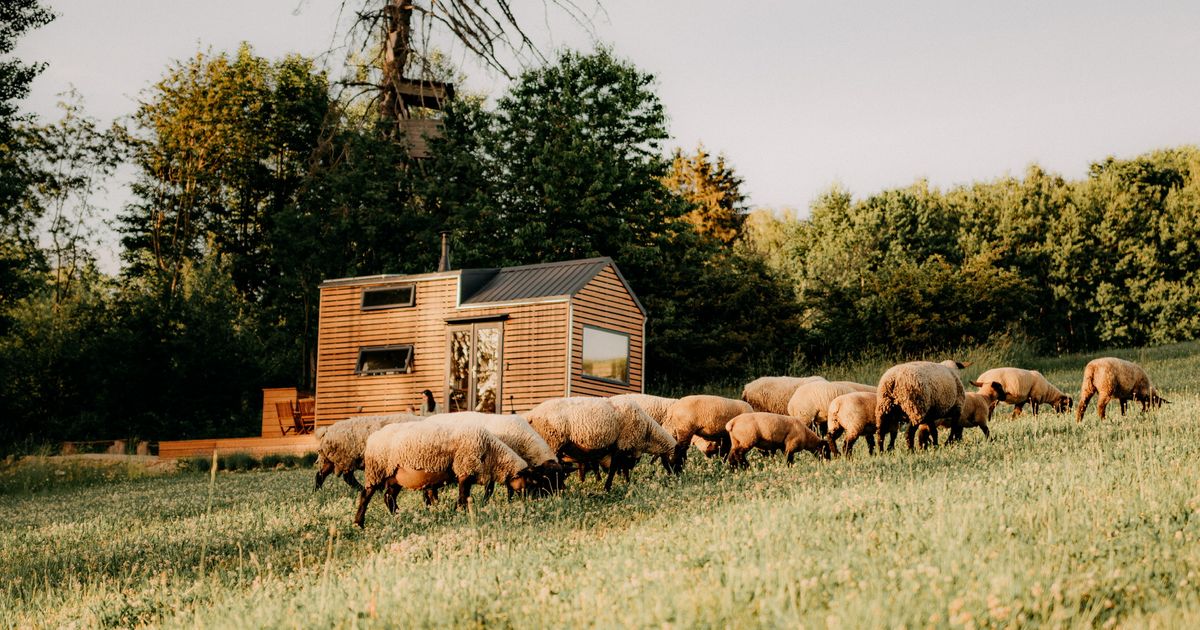Tiny house Neposeda