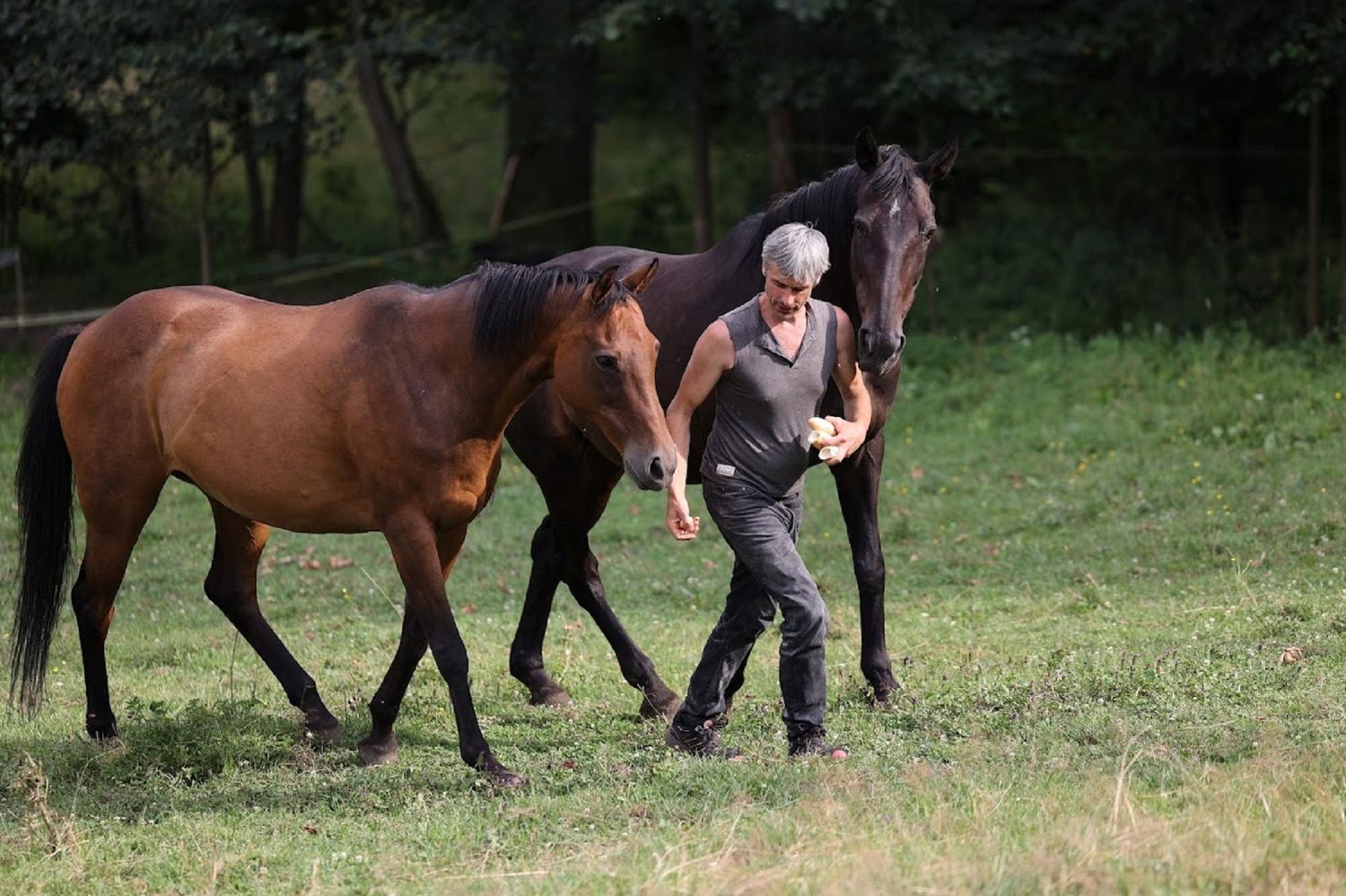 Maringotka v Rychlebských horách