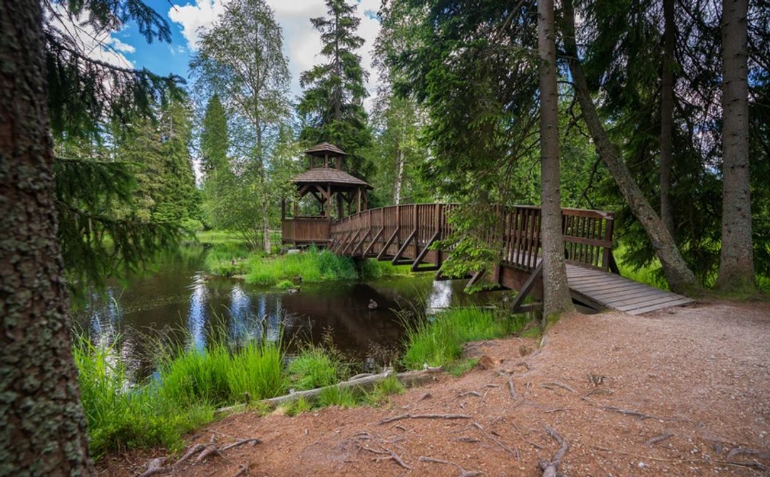 Přírodní rezervace Kladská