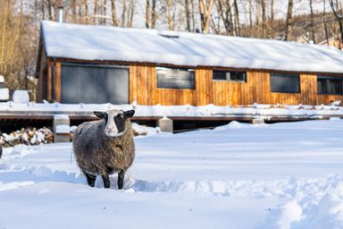 Tiny House Modřínek