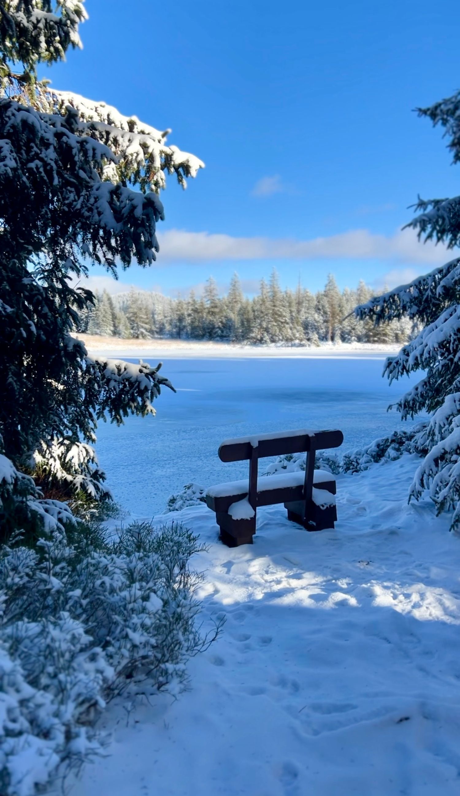 Tinyhouse u řeky sníh