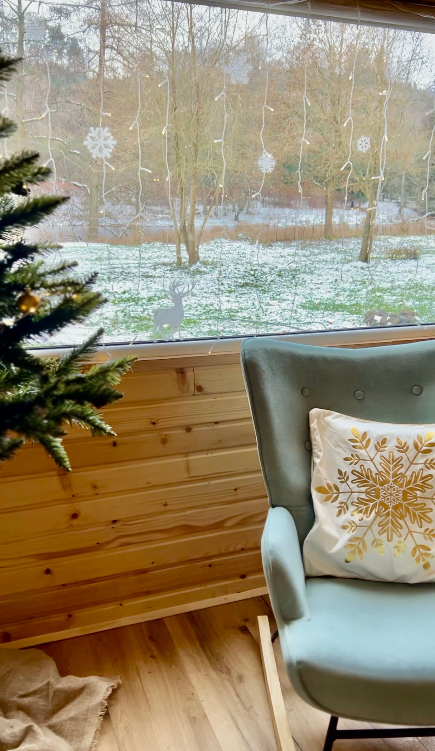 Tinyhouse u řeky zima 2