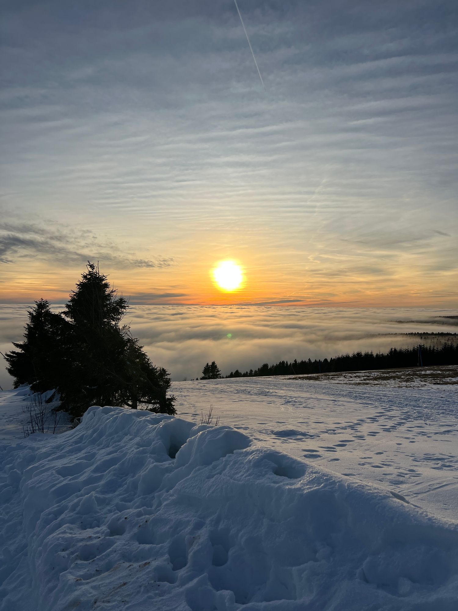 Treehouse Krušnohled