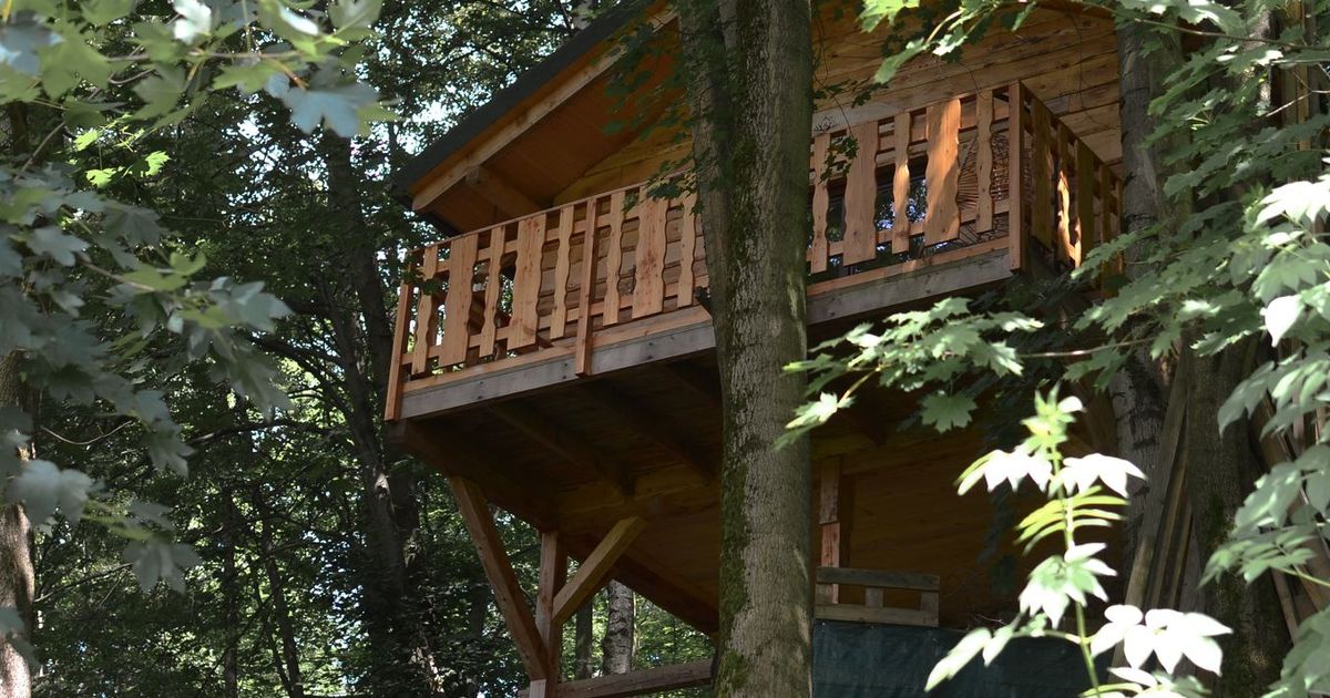 Treehouse Great Losiny