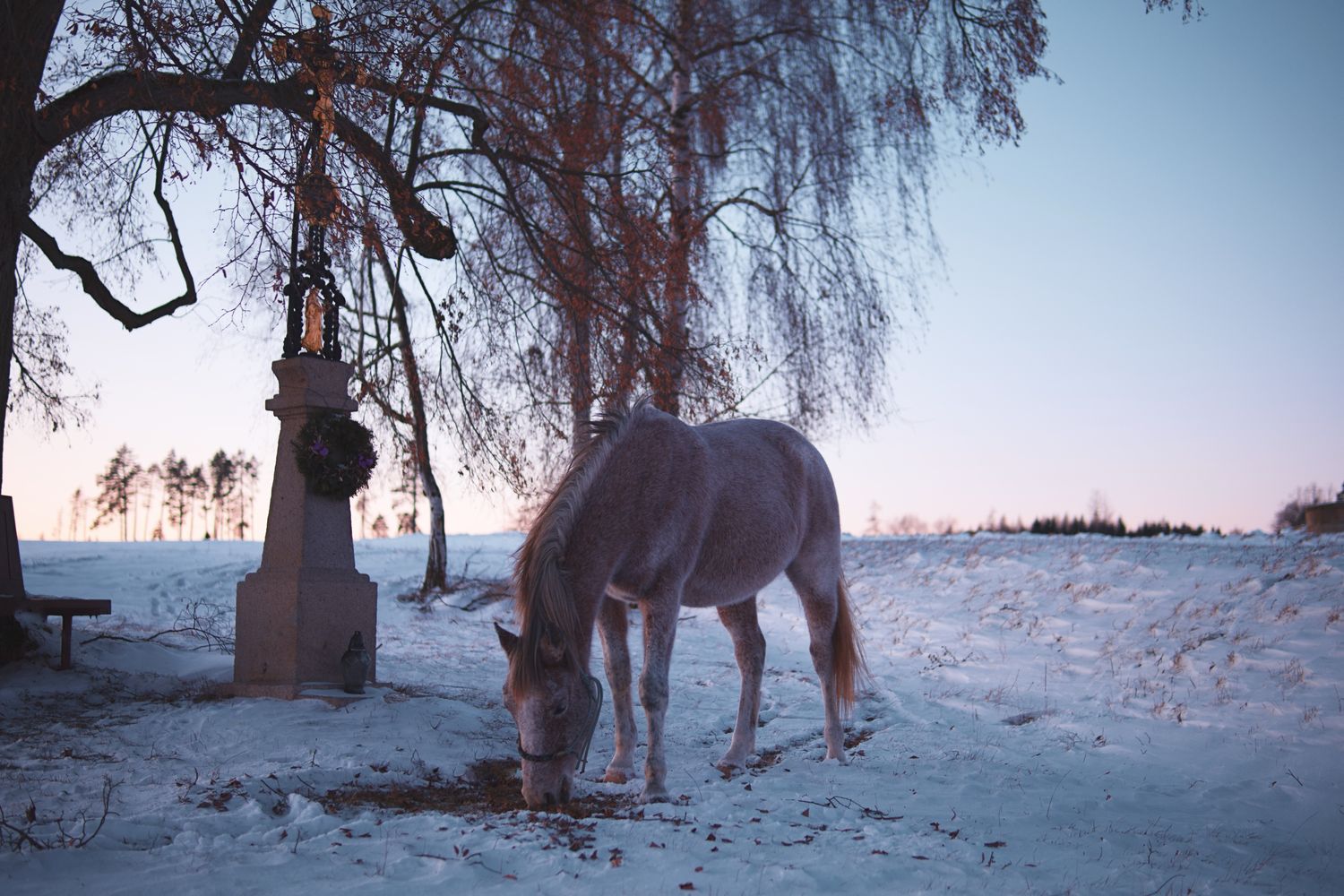 nádech - glamping na statku